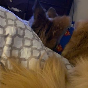 Meet your Posher, Greg